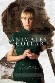 Animales sin collar