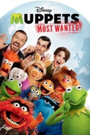 Muppet’lar Aranıyor